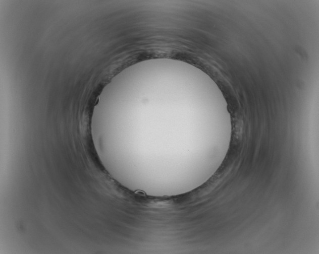 X0000115650283200911101123