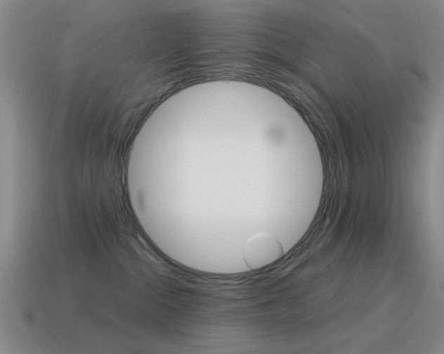 X0000115650284200911101123