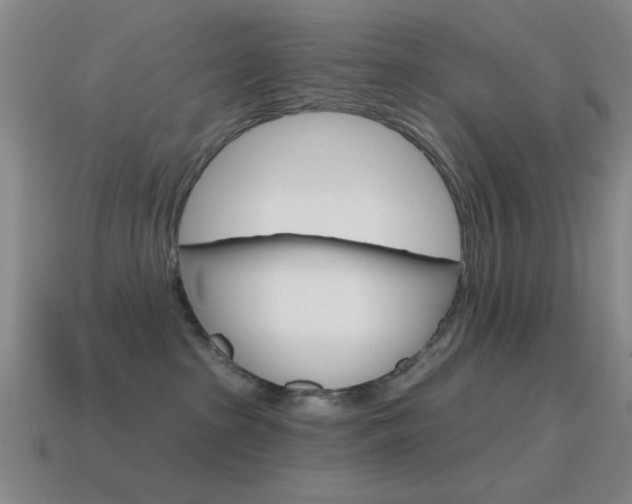 X0000115650285200911101123