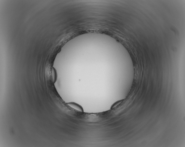 X0000115650287200911101123