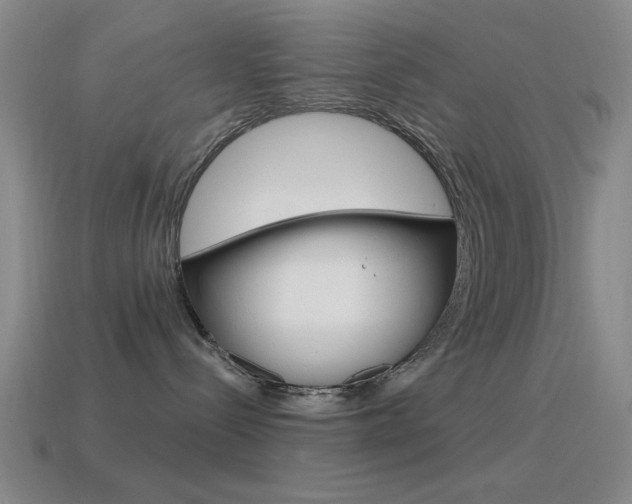 X0000115650288200911101123