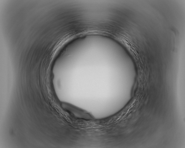 X0000115650289200911101122