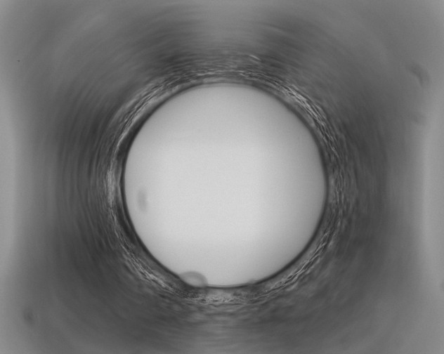 X0000115650290200911101122