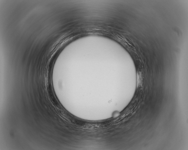 X0000115650291200911101122