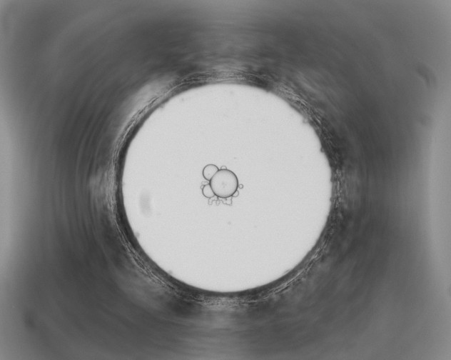X0000115650293200911101122