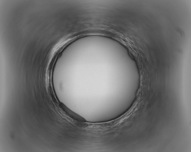X0000115650294200911101122