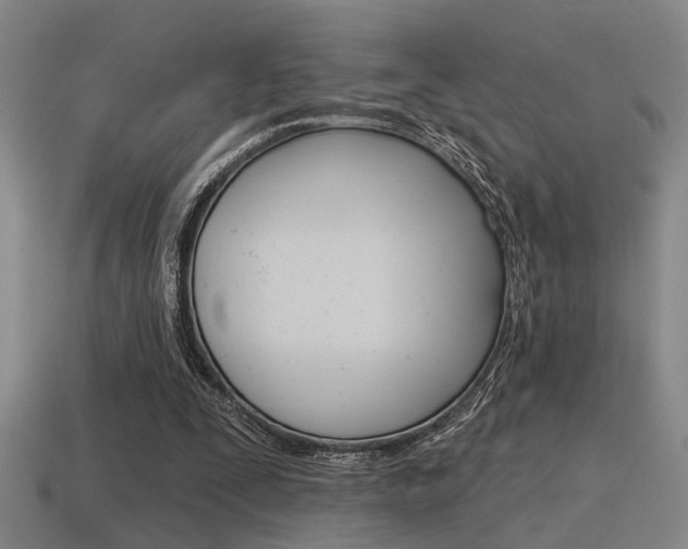 X0000115650295200911101122