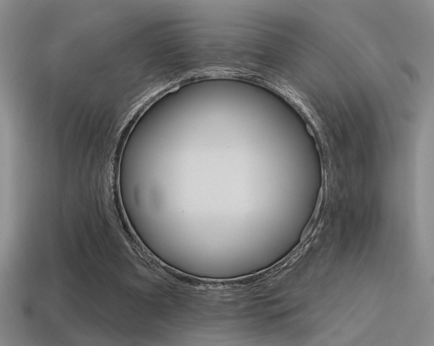 X0000115650297200911101122