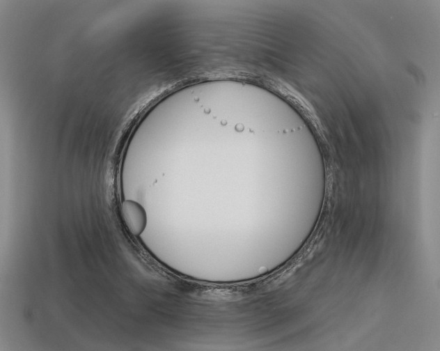 X0000115650298200911101122
