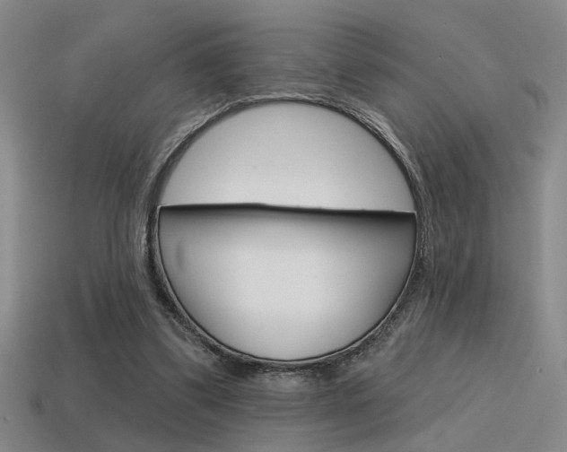 X0000115650299200911101122