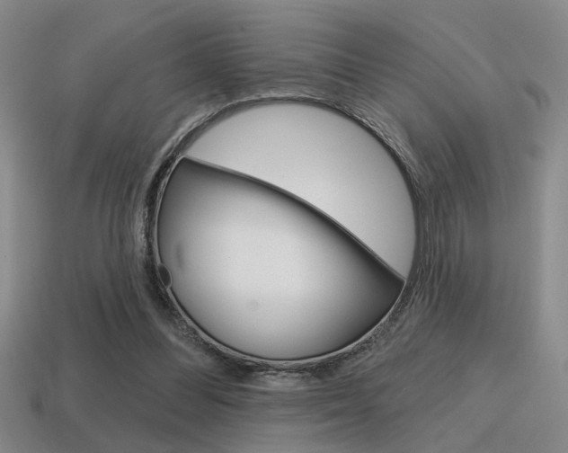 X0000115650300200911101122