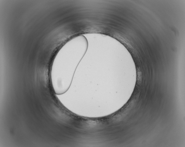 X0000115650302200911101122