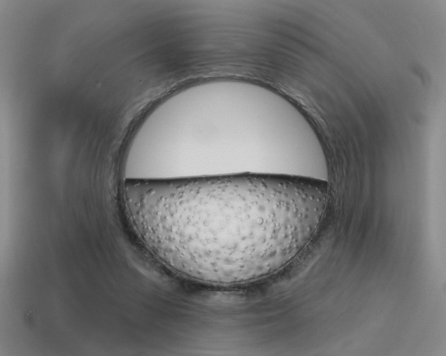 X0000115650303200911101122