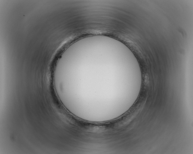 X0000115650304200911101122