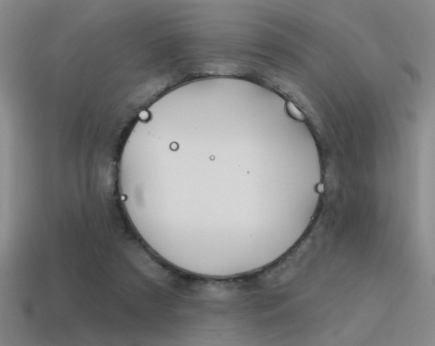 X0000115650305200911101122
