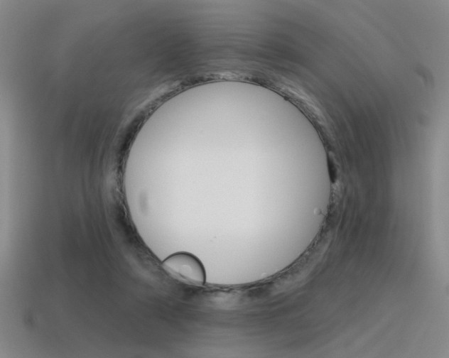 X0000115650306200911101122