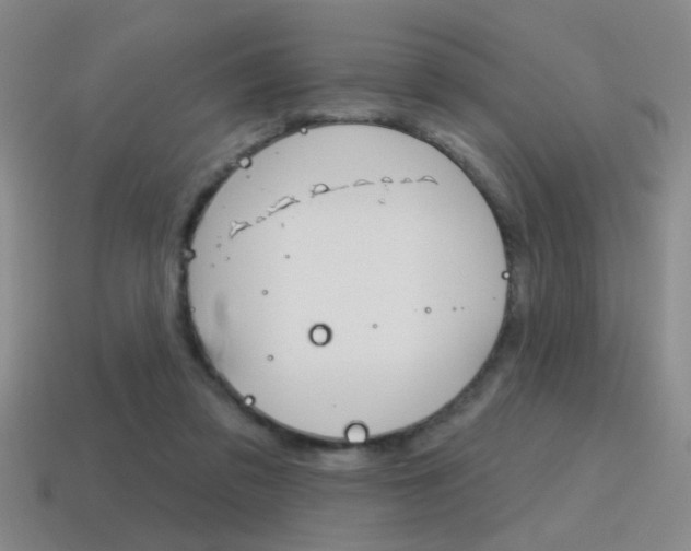 X0000115650309200911101122