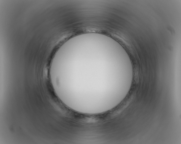 X0000115650310200911101122