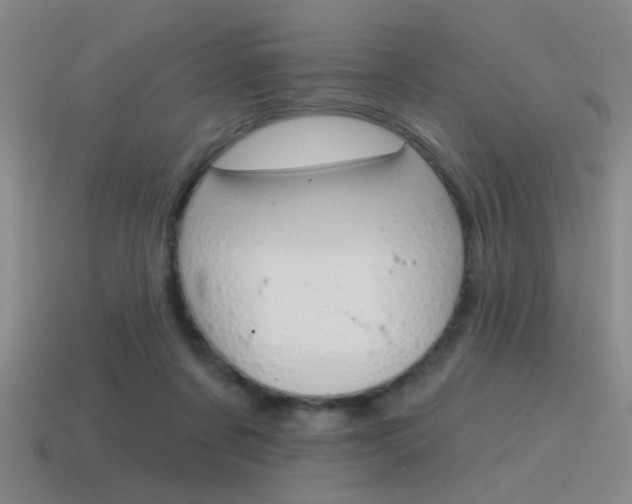 X0000115650311200911101122