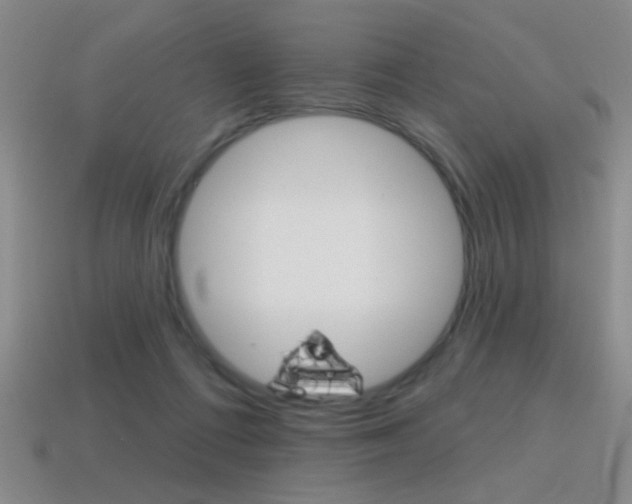 X0000115650312200911101122