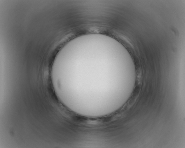 X0000115650314200911101122