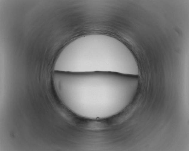 X0000115650315200911101122