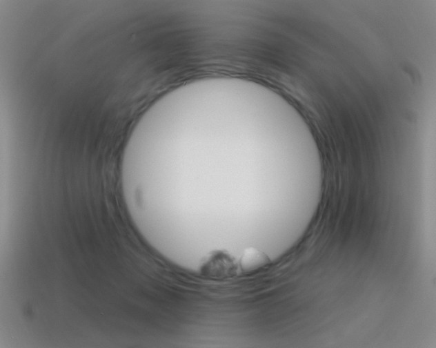 X0000115650317200911101122