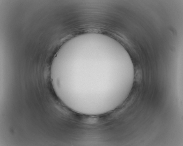 X0000115650318200911101122