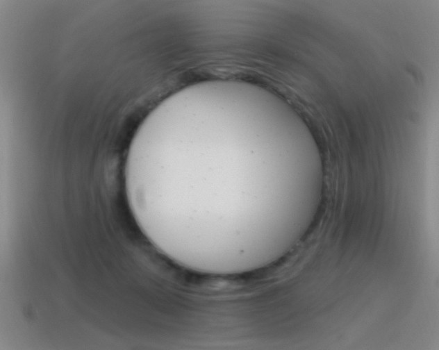 X0000115650319200911101122