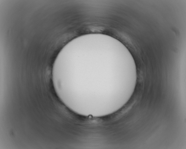 X0000115650321200911101122