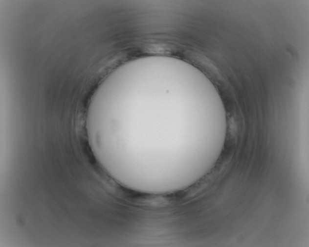 X0000115650322200911101122