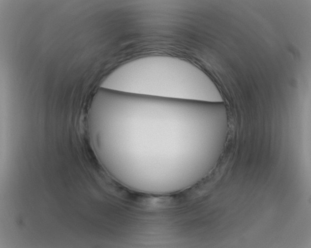 X0000115650323200911101122