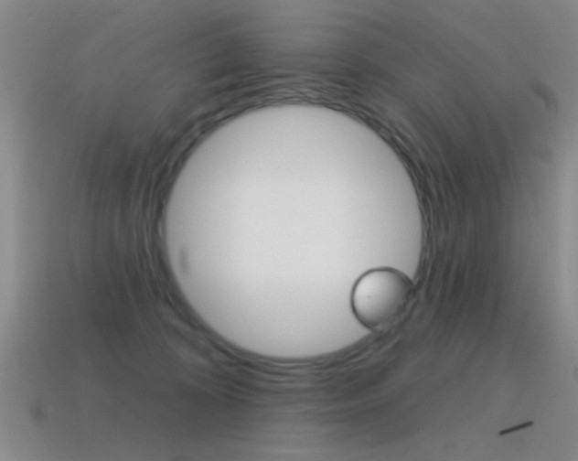 X0000115650324200911101122