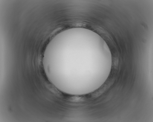 X0000115650326200911101122