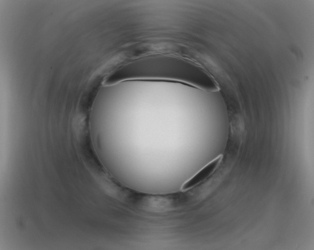 X0000115650327200911101122