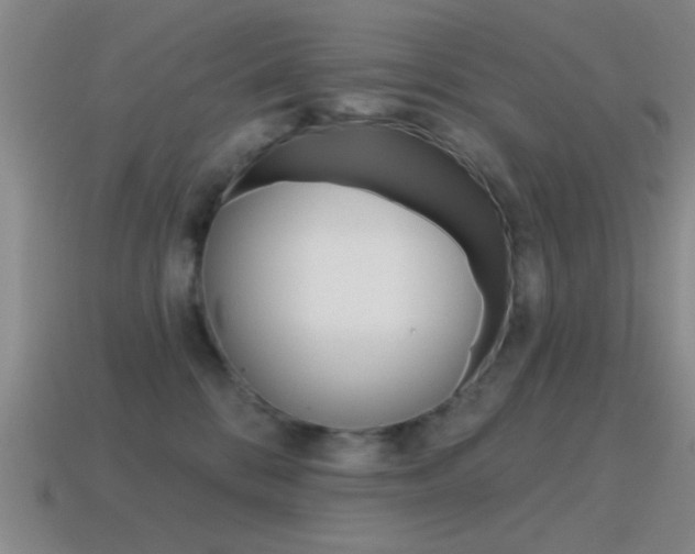 X0000115650328200911101122