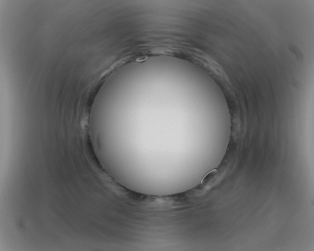 X0000115650329200911101122