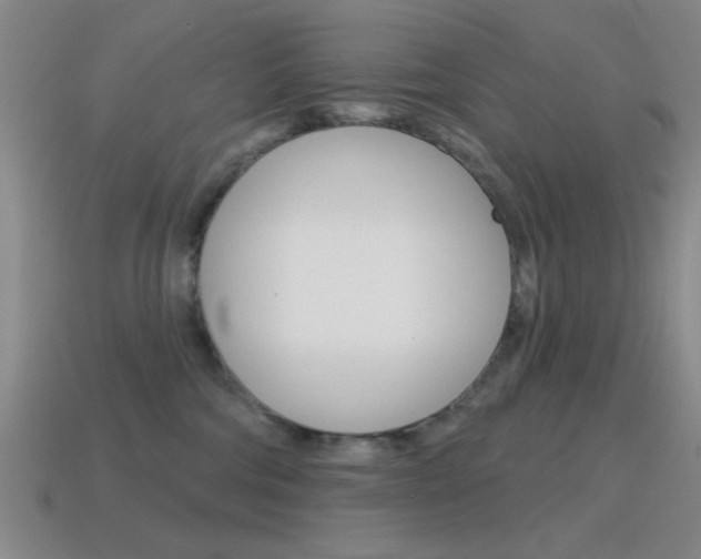 X0000115650330200911101121