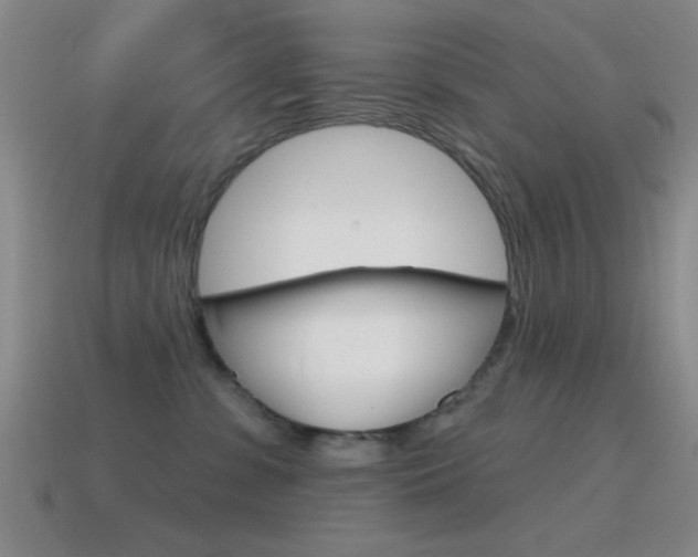 X0000115650331200911101121