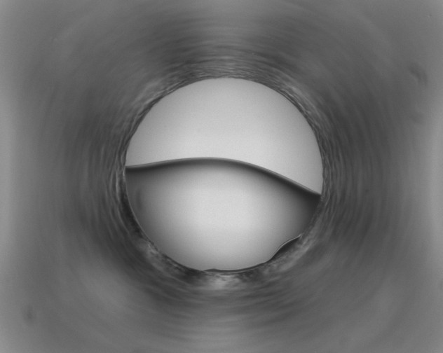 X0000115650333200911101121