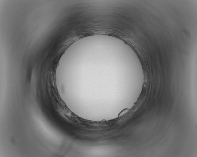X0000115650334200911101121