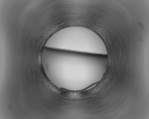 X0000115650335200911101121