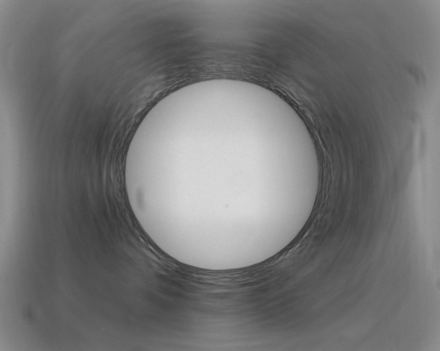 X0000115650336200911101121