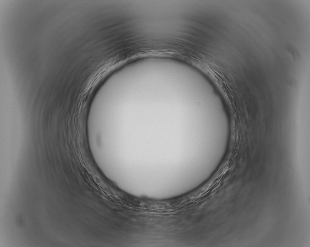 X0000115650337200911101121