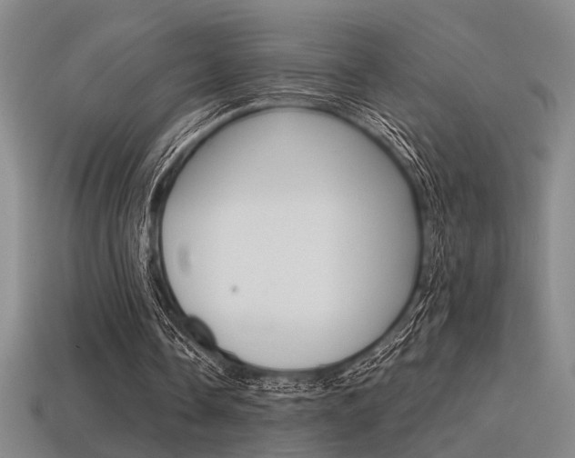 X0000115650338200911101121