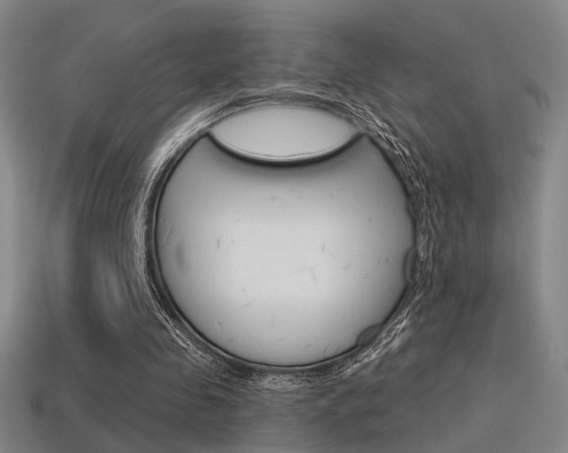 X0000115650341200911101121