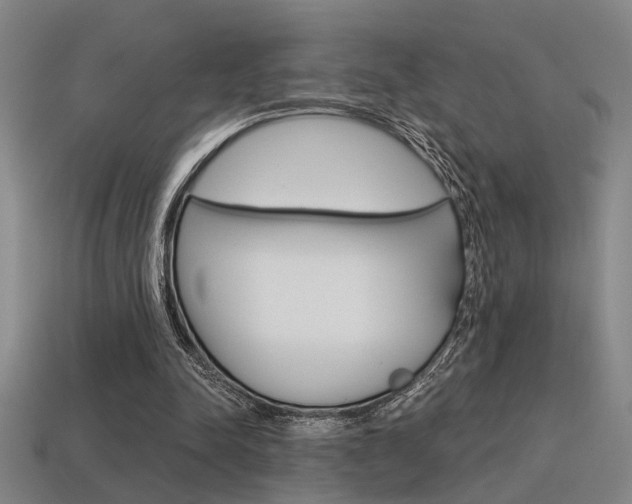 X0000115650342200911101121