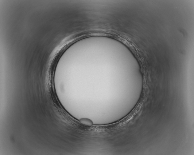 X0000115650343200911101121