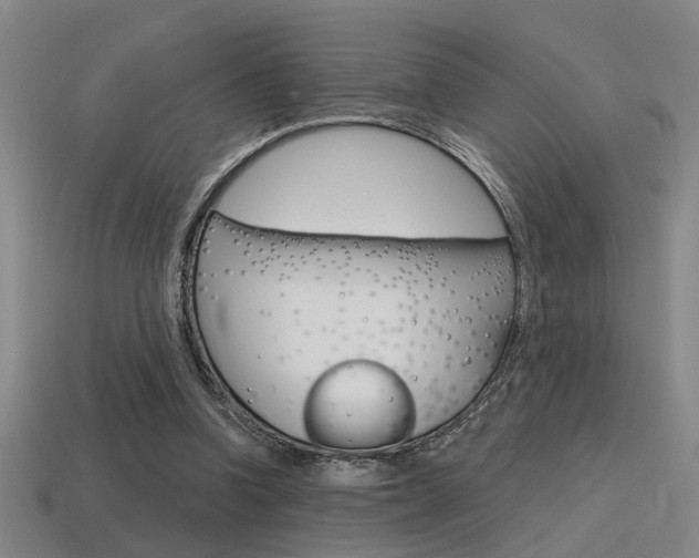 X0000115650346200911101121