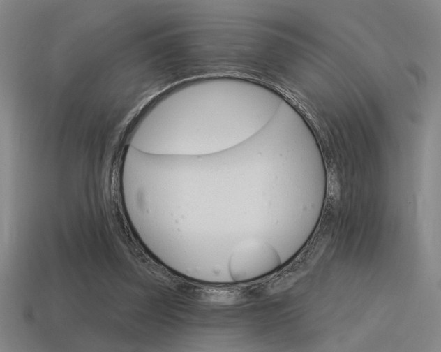 X0000115650347200911101121
